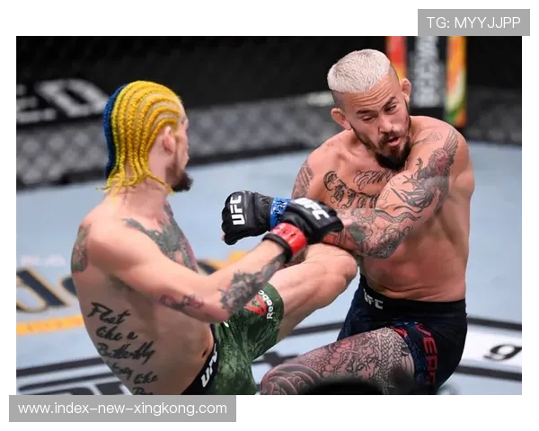 UFC谢恩·奥马利站立攻击提升：从基础到巅峰的全方位攻略