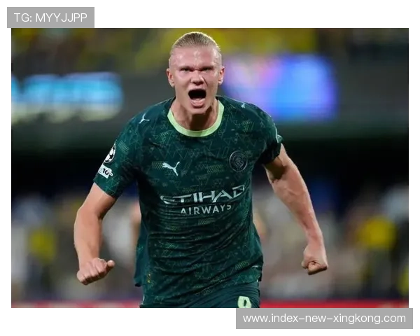 本菲卡瞄准“哈兰德式”高塔前锋，打造全新攻坚核心引领未来