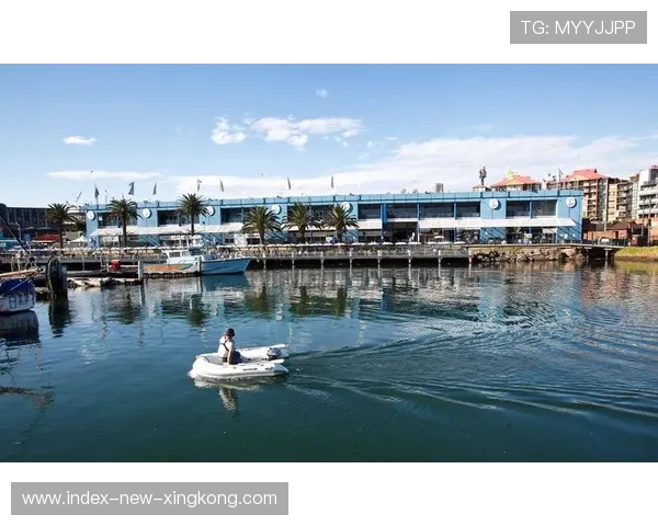 海港推进如巨浪压境